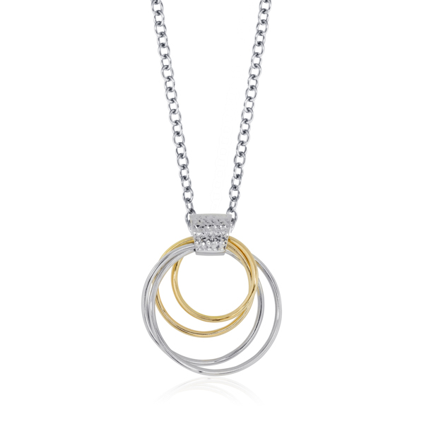 Silver Goldtone Pendant