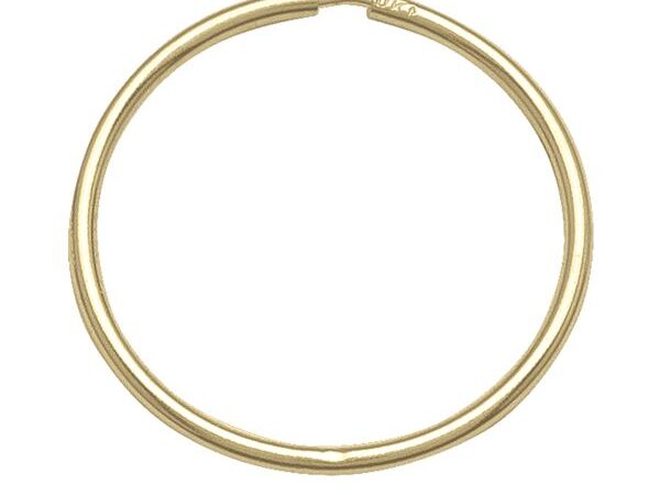Gold Sleeper Hoops