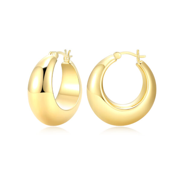 Gold Plated Trending Hoop Earrings