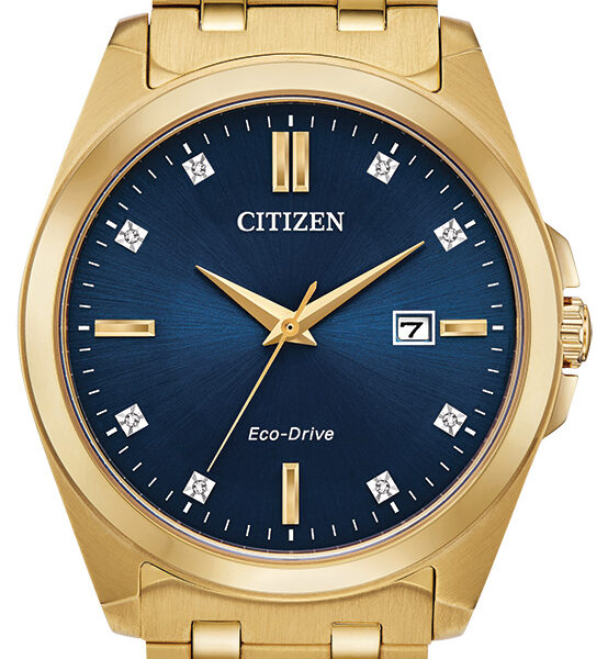 Citizen Eco Drive Men's Watch