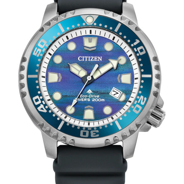 Men's Citizen Eco Drive Watch